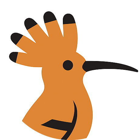 hoopoe